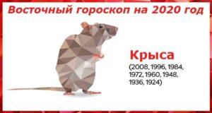 Гороскоп на 2020 год для Крысы: женщины и мужчины